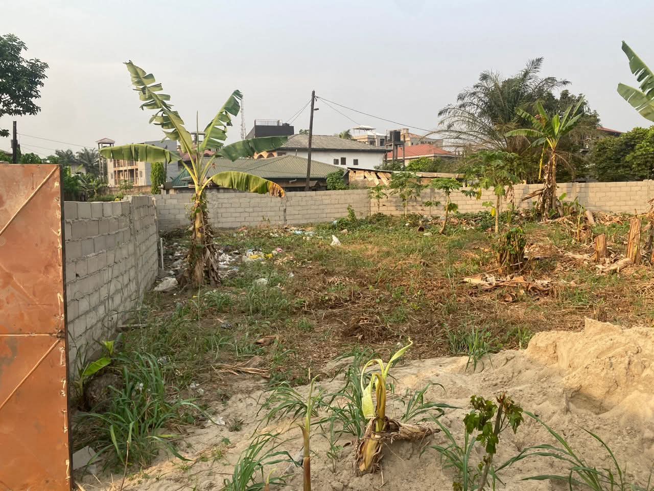 WhatsApp Image 2026 02 08 At 19.02.17