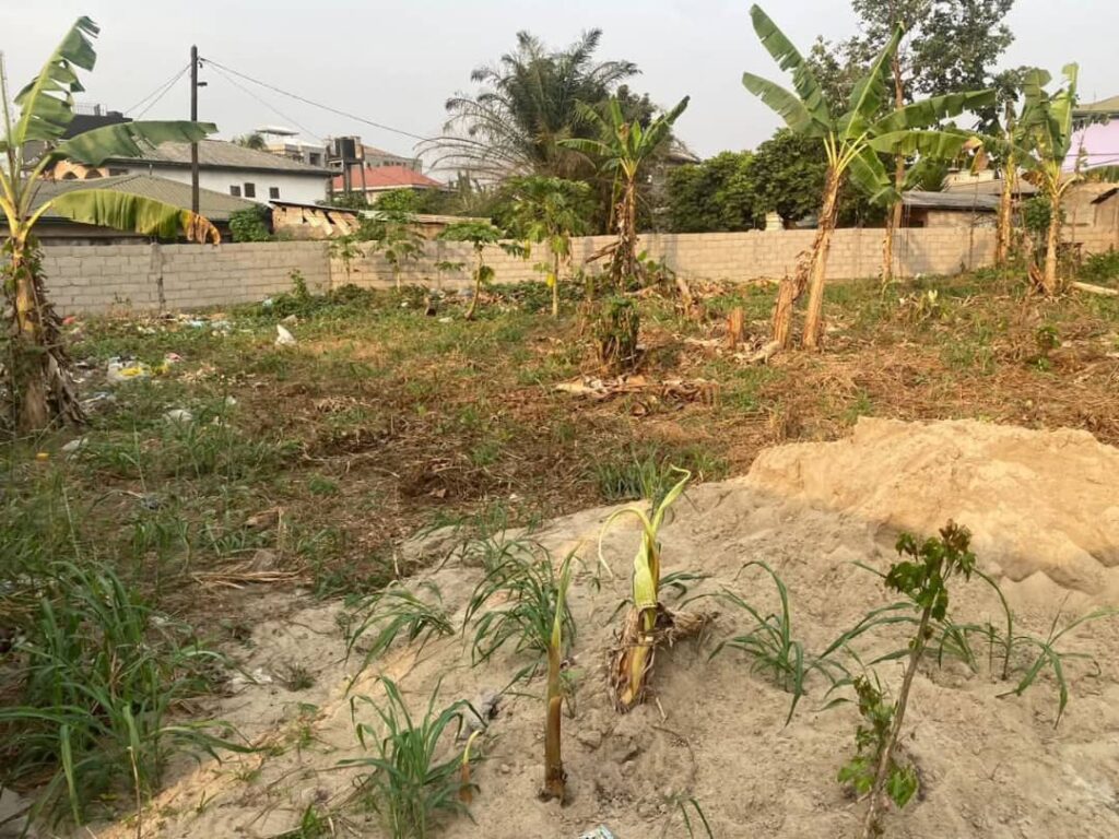 Crafting Captivating Headlines: Your awesome post title goes here