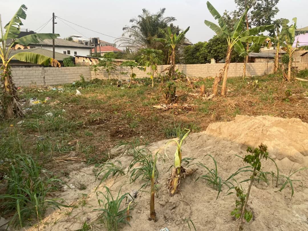 WhatsApp Image 2026 02 08 At 19.02.18