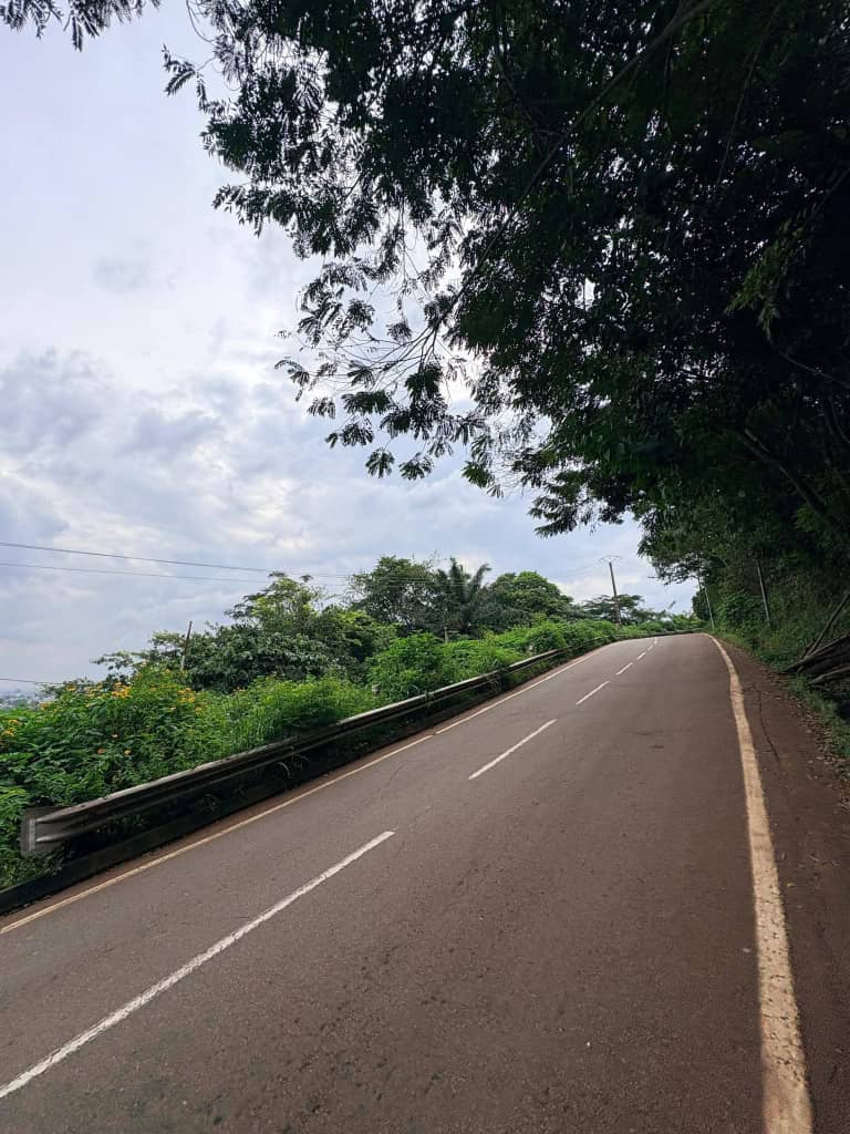 whatsapp image 2026 02 10 at 16.30.57.jpeg