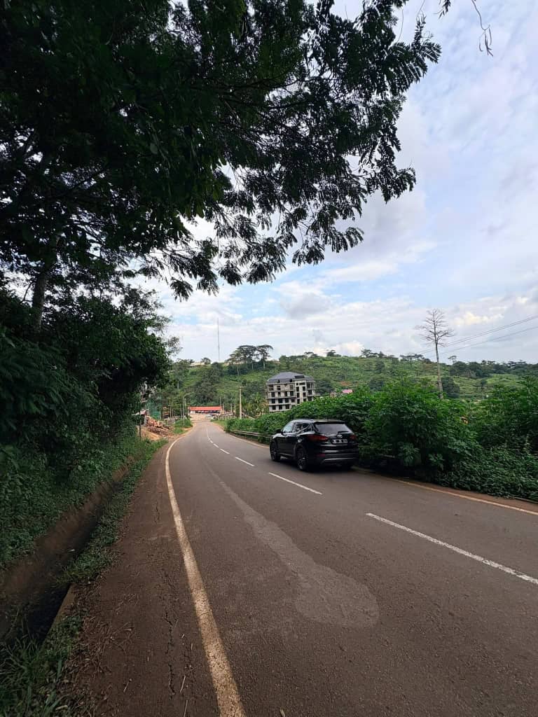 whatsapp image 2026 02 10 at 16.30.59.jpeg