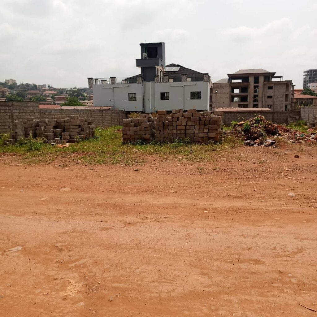 whatsapp image 2026 02 10 at 16.35.01.jpeg