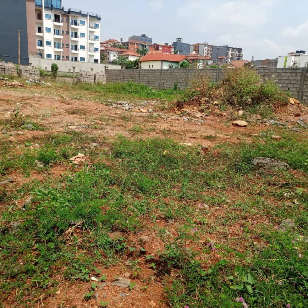 whatsapp image 2026 02 10 at 16.35.03.jpeg