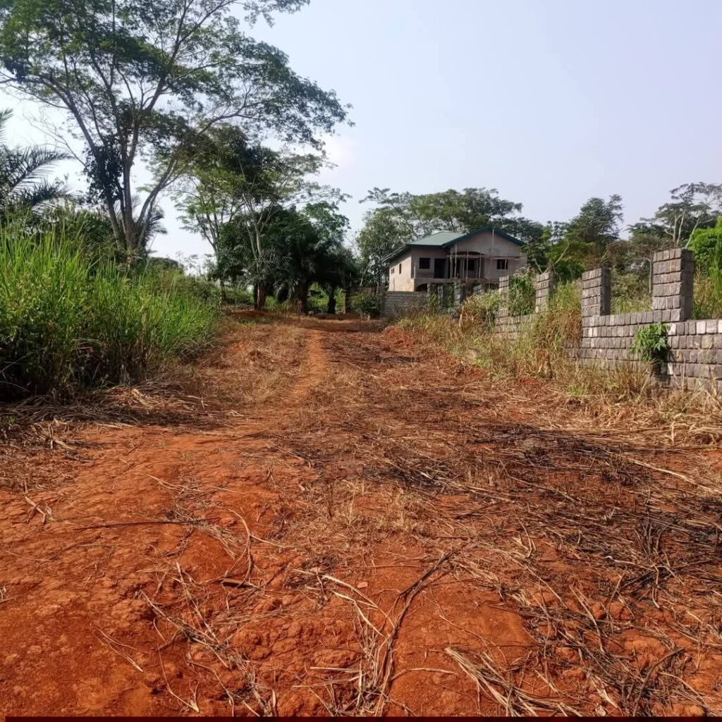 whatsapp image 2026 02 10 at 16.36.03.jpeg