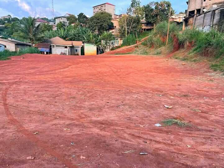 Agence immobilière à Odza