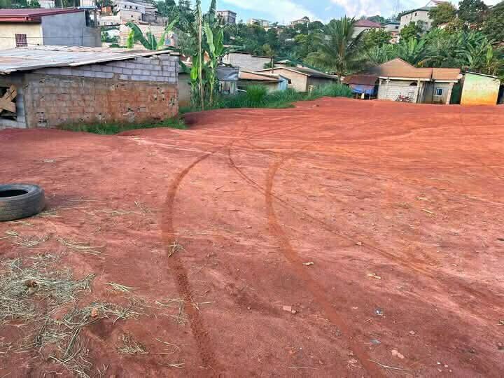 Agence immobilière à Odza